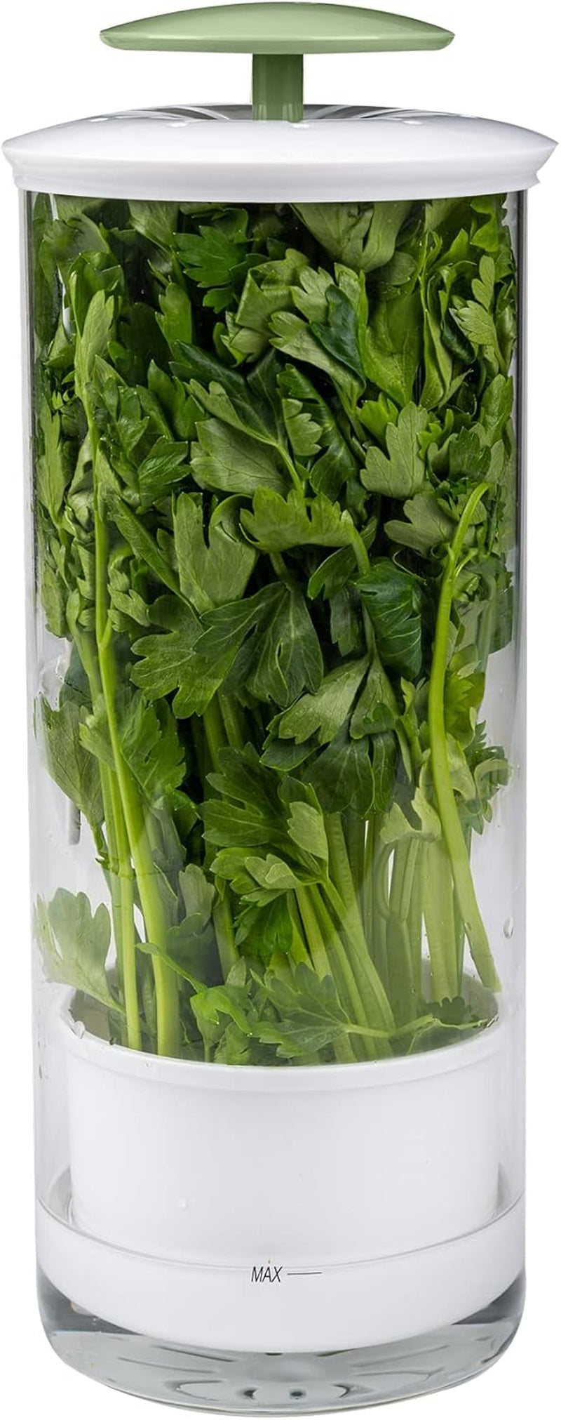 Herb Keeper Preserver